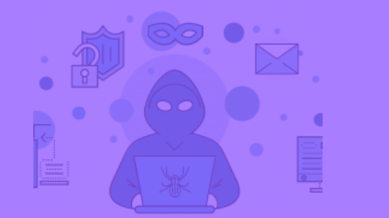 WordPress vulnerability