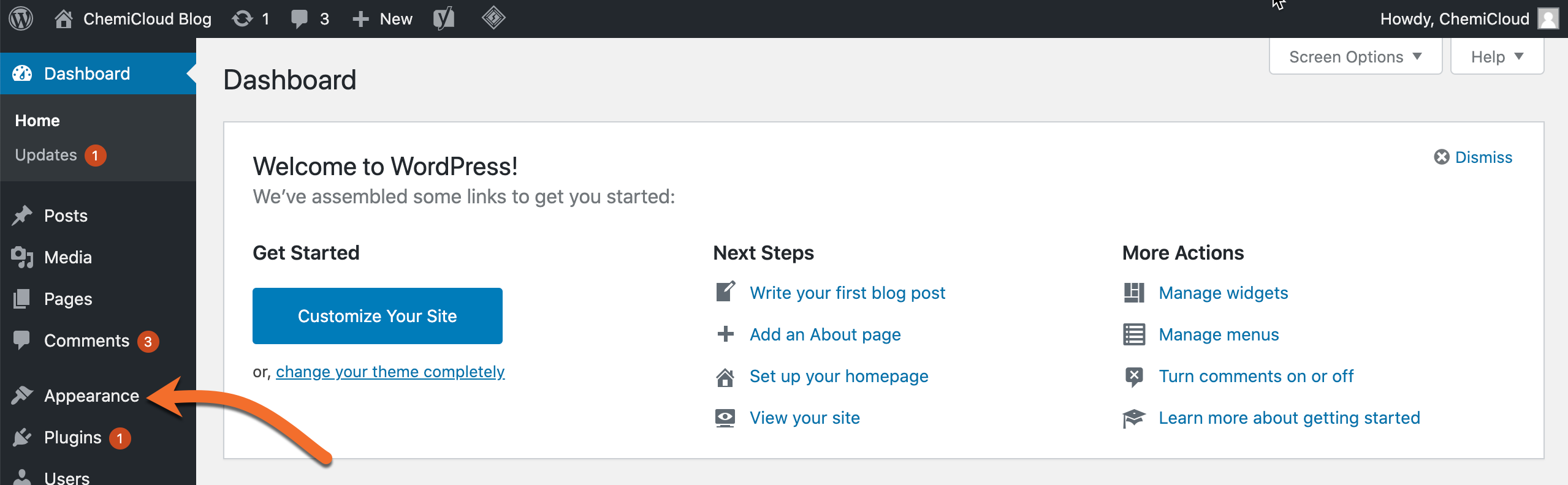 WordPress Dashboard Appearance